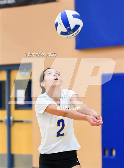 Thumbnail 3 in Cactus @ Buckeye photogallery.