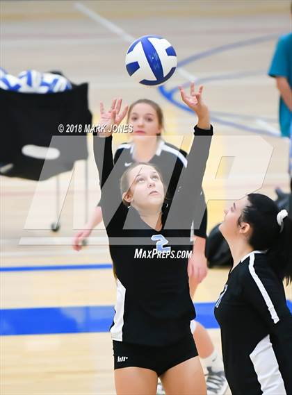 Thumbnail 1 in Cactus @ Buckeye photogallery.