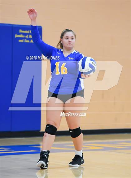 Thumbnail 3 in Cactus @ Buckeye photogallery.
