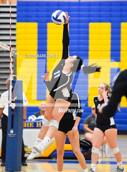 Thumbnail 1 in Cactus @ Buckeye photogallery.