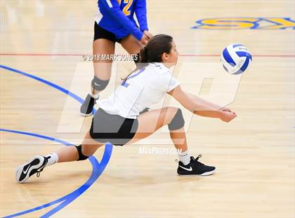 Thumbnail 3 in Cactus @ Buckeye photogallery.