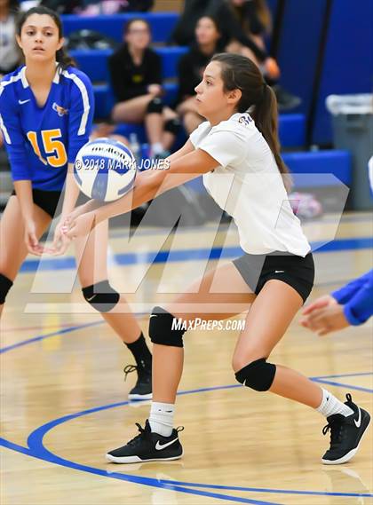 Thumbnail 3 in Cactus @ Buckeye photogallery.