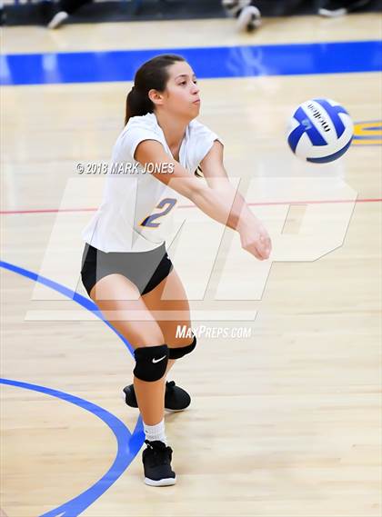 Thumbnail 3 in Cactus @ Buckeye photogallery.