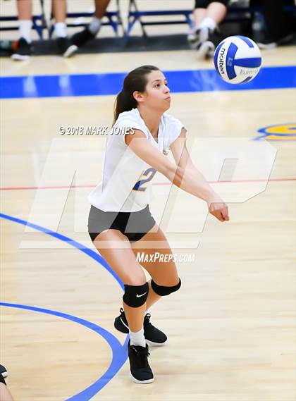 Thumbnail 1 in Cactus @ Buckeye photogallery.