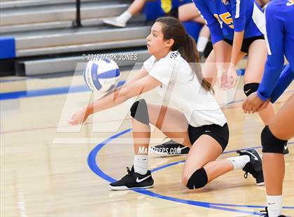 Thumbnail 2 in Cactus @ Buckeye photogallery.