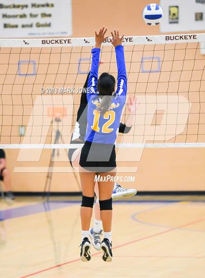 Thumbnail 3 in Cactus @ Buckeye photogallery.