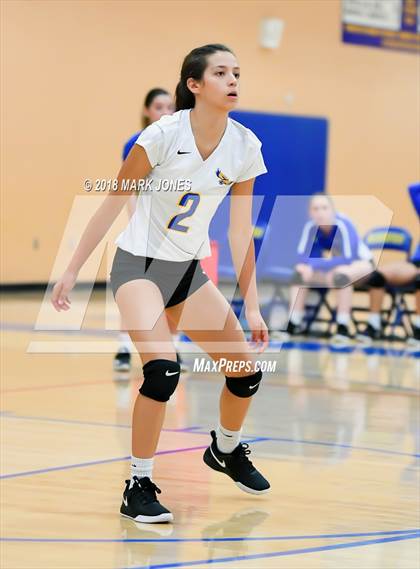 Thumbnail 3 in Cactus @ Buckeye photogallery.