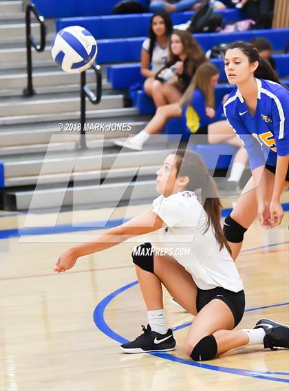 Thumbnail 3 in Cactus @ Buckeye photogallery.