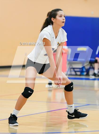 Thumbnail 2 in Cactus @ Buckeye photogallery.