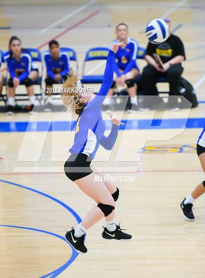 Thumbnail 3 in Cactus @ Buckeye photogallery.