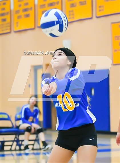 Thumbnail 2 in Cactus @ Buckeye photogallery.