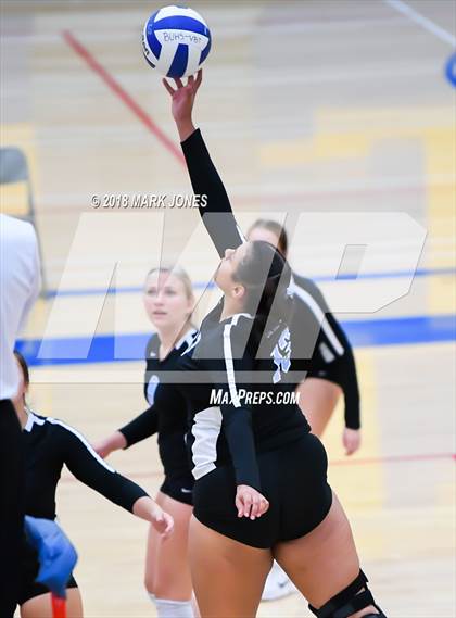 Thumbnail 3 in Cactus @ Buckeye photogallery.