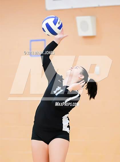 Thumbnail 2 in Cactus @ Buckeye photogallery.