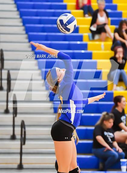 Thumbnail 3 in Cactus @ Buckeye photogallery.