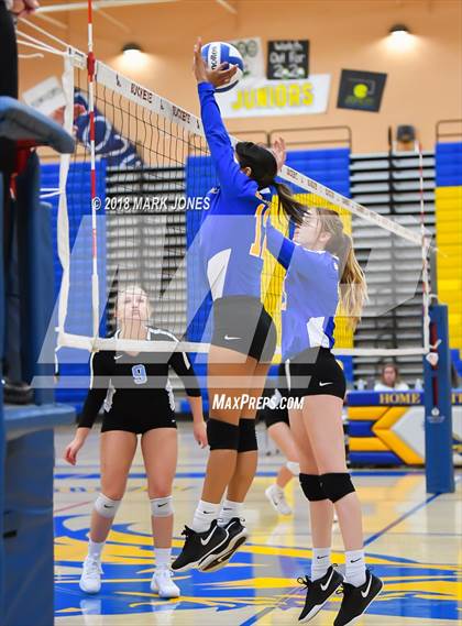 Thumbnail 2 in Cactus @ Buckeye photogallery.