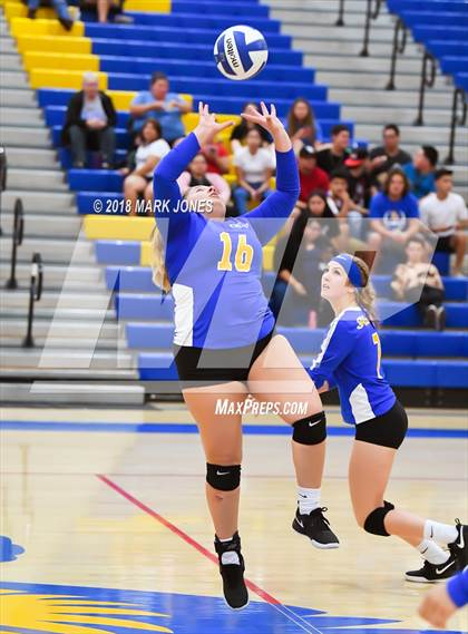 Thumbnail 1 in Cactus @ Buckeye photogallery.