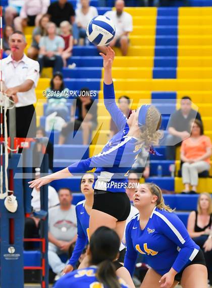 Thumbnail 1 in Cactus @ Buckeye photogallery.