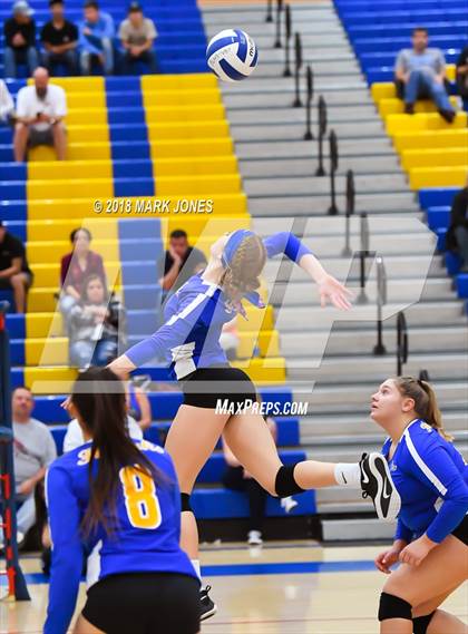Thumbnail 1 in Cactus @ Buckeye photogallery.