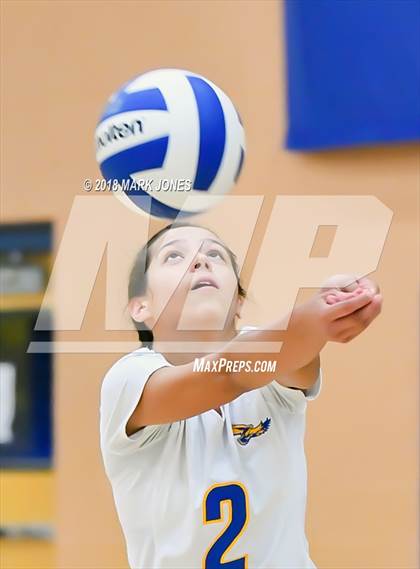 Thumbnail 1 in Cactus @ Buckeye photogallery.