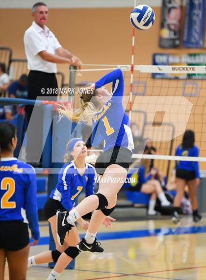 Thumbnail 1 in Cactus @ Buckeye photogallery.