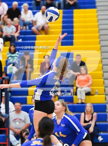 Thumbnail 3 in Cactus @ Buckeye photogallery.