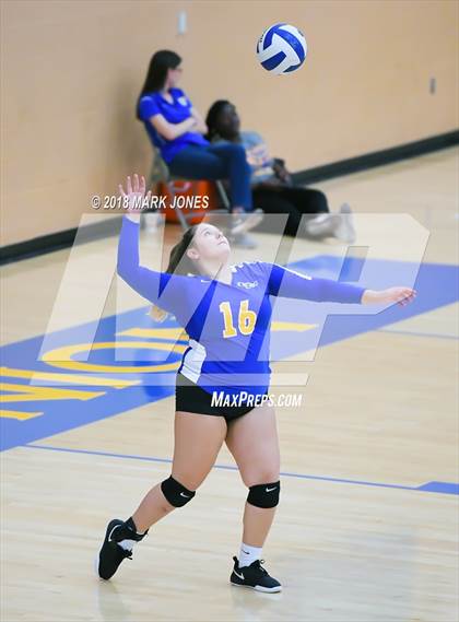 Thumbnail 3 in Cactus @ Buckeye photogallery.