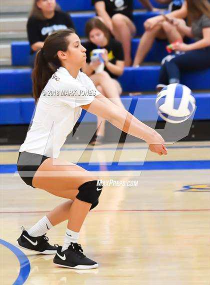 Thumbnail 1 in Cactus @ Buckeye photogallery.