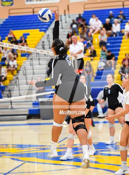 Thumbnail 3 in Cactus @ Buckeye photogallery.