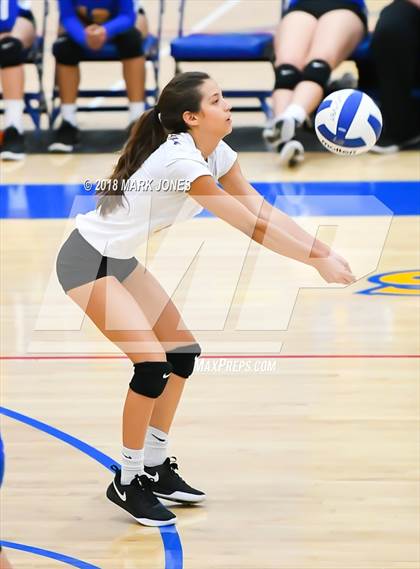 Thumbnail 3 in Cactus @ Buckeye photogallery.