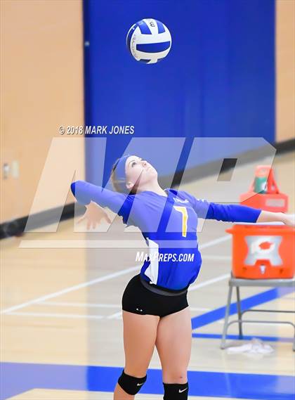 Thumbnail 2 in Cactus @ Buckeye photogallery.