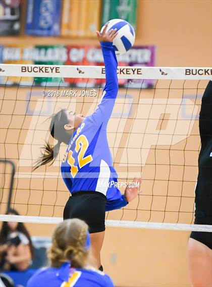 Thumbnail 1 in Cactus @ Buckeye photogallery.