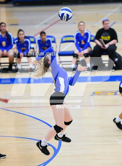 Thumbnail 2 in Cactus @ Buckeye photogallery.