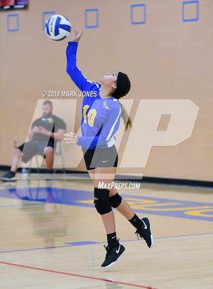 Thumbnail 1 in Cactus @ Buckeye photogallery.