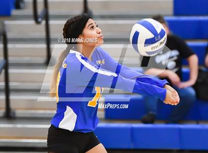 Thumbnail 3 in Cactus @ Buckeye photogallery.