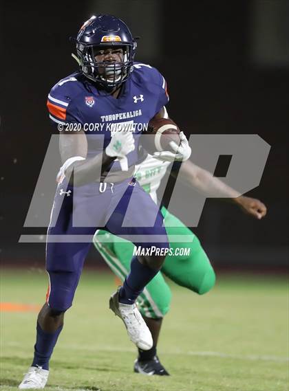 Thumbnail 2 in Haines City @ Tohopekaliga photogallery.