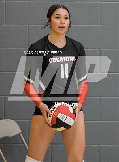 Thumbnail 2 in Red Mesa vs. Cocoino (Epic Tourneys Volleyball Invite) photogallery.