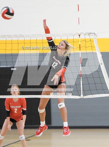 Thumbnail 1 in Red Mesa vs. Cocoino (Epic Tourneys Volleyball Invite) photogallery.