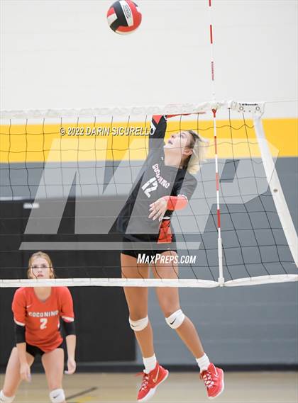 Thumbnail 3 in Red Mesa vs. Cocoino (Epic Tourneys Volleyball Invite) photogallery.