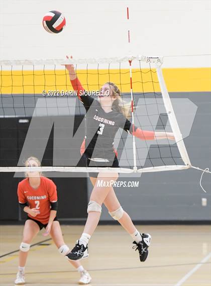Thumbnail 3 in Red Mesa vs. Cocoino (Epic Tourneys Volleyball Invite) photogallery.
