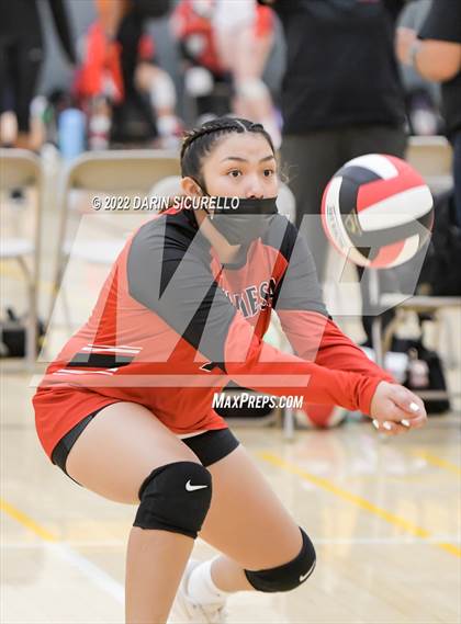 Thumbnail 3 in Red Mesa vs. Cocoino (Epic Tourneys Volleyball Invite) photogallery.