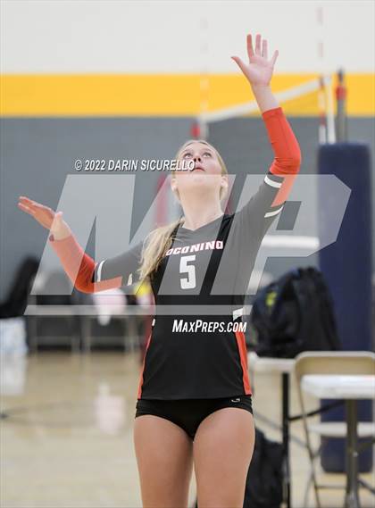 Thumbnail 1 in Red Mesa vs. Cocoino (Epic Tourneys Volleyball Invite) photogallery.
