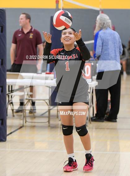 Thumbnail 2 in Red Mesa vs. Cocoino (Epic Tourneys Volleyball Invite) photogallery.