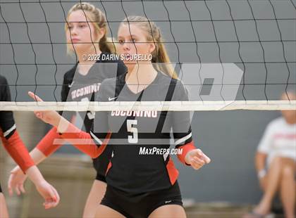 Thumbnail 3 in Red Mesa vs. Cocoino (Epic Tourneys Volleyball Invite) photogallery.