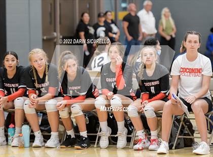 Thumbnail 3 in Red Mesa vs. Cocoino (Epic Tourneys Volleyball Invite) photogallery.