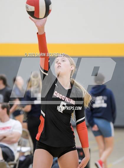 Thumbnail 3 in Red Mesa vs. Cocoino (Epic Tourneys Volleyball Invite) photogallery.