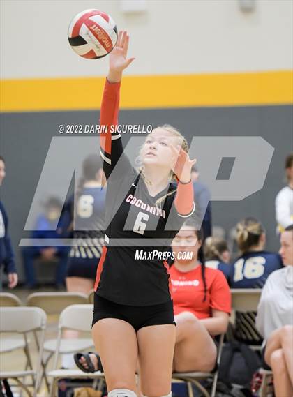 Thumbnail 3 in Red Mesa vs. Cocoino (Epic Tourneys Volleyball Invite) photogallery.