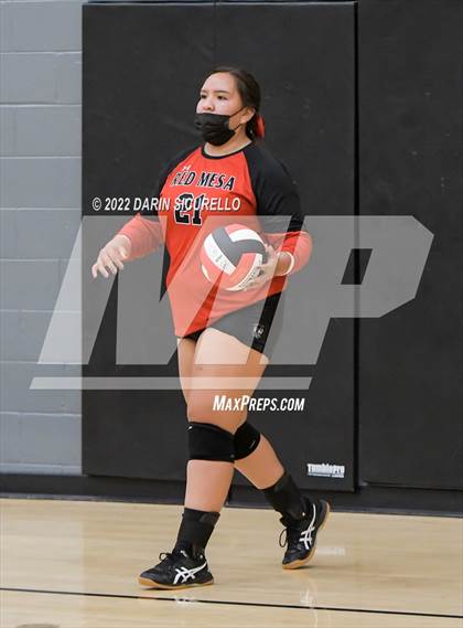 Thumbnail 1 in Red Mesa vs. Cocoino (Epic Tourneys Volleyball Invite) photogallery.