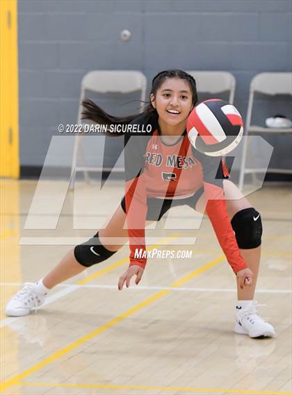 Thumbnail 1 in Red Mesa vs. Cocoino (Epic Tourneys Volleyball Invite) photogallery.