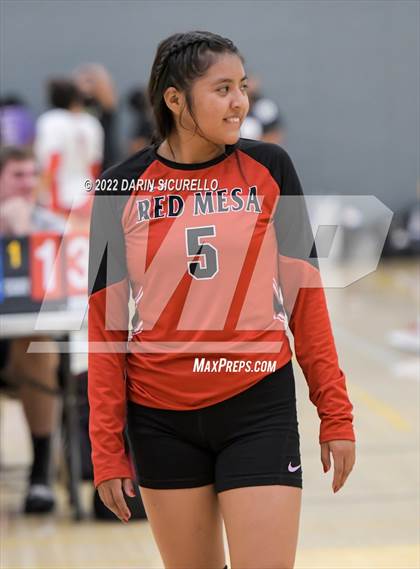 Thumbnail 2 in Red Mesa vs. Cocoino (Epic Tourneys Volleyball Invite) photogallery.