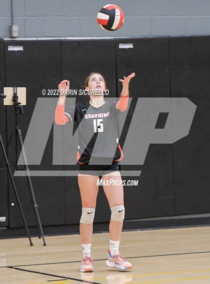 Thumbnail 3 in Red Mesa vs. Cocoino (Epic Tourneys Volleyball Invite) photogallery.